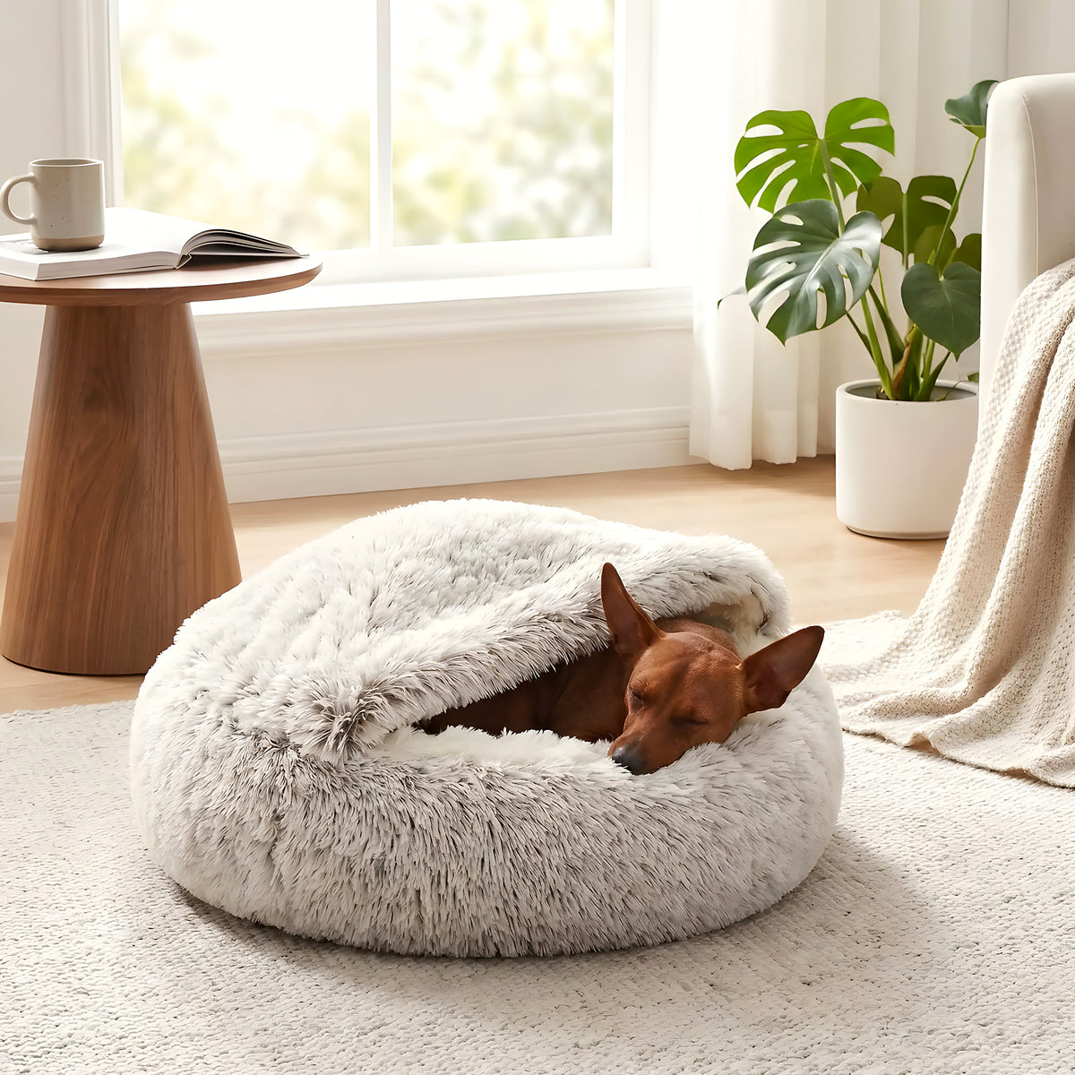 Panier couvert en peluche avec couverture pour petit chien