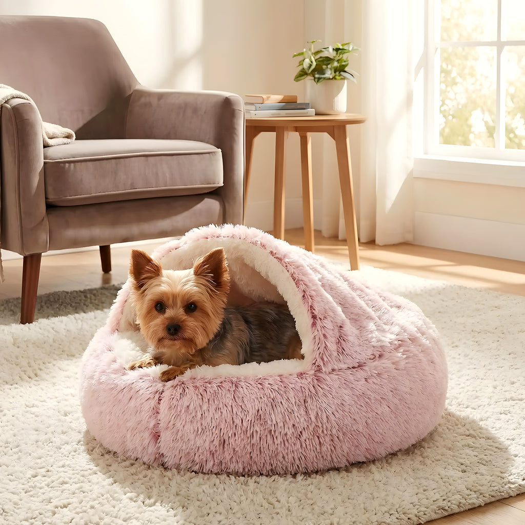 Panier couvert en peluche avec couverture pour petit chien