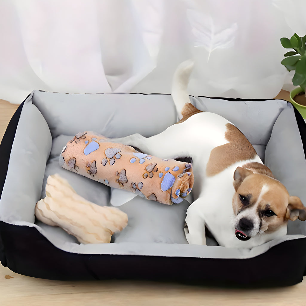 Panier design en coton pour chien, S à XL