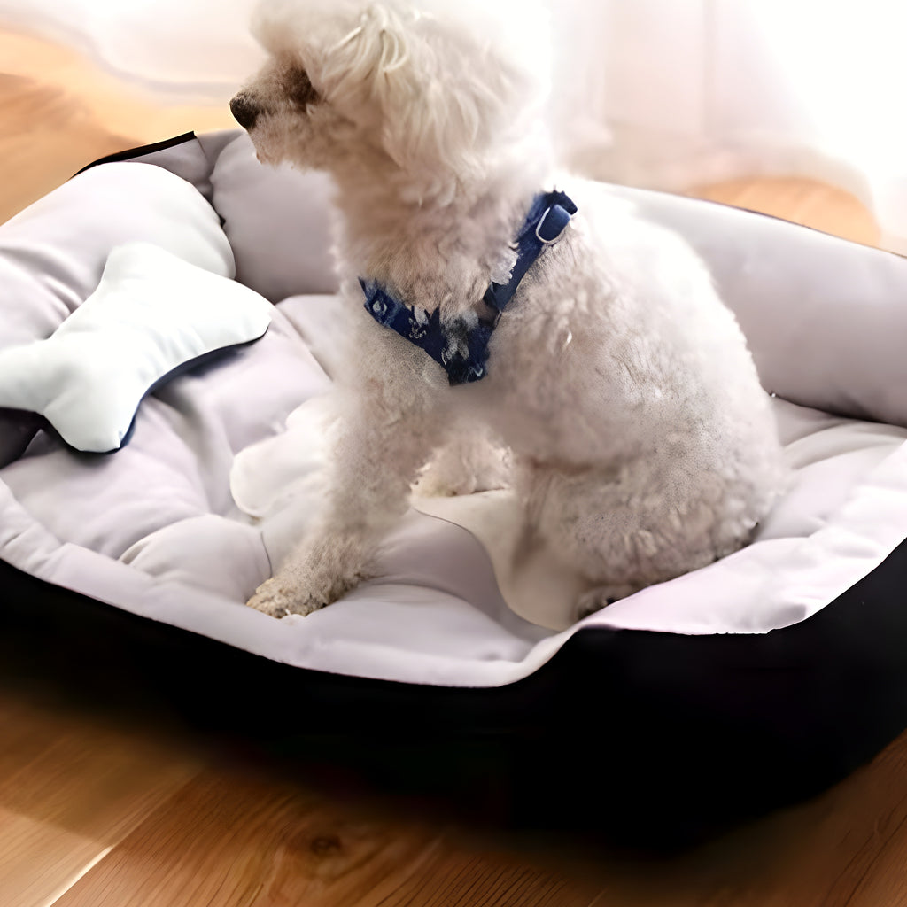 Panier design en coton pour chien, S à XL