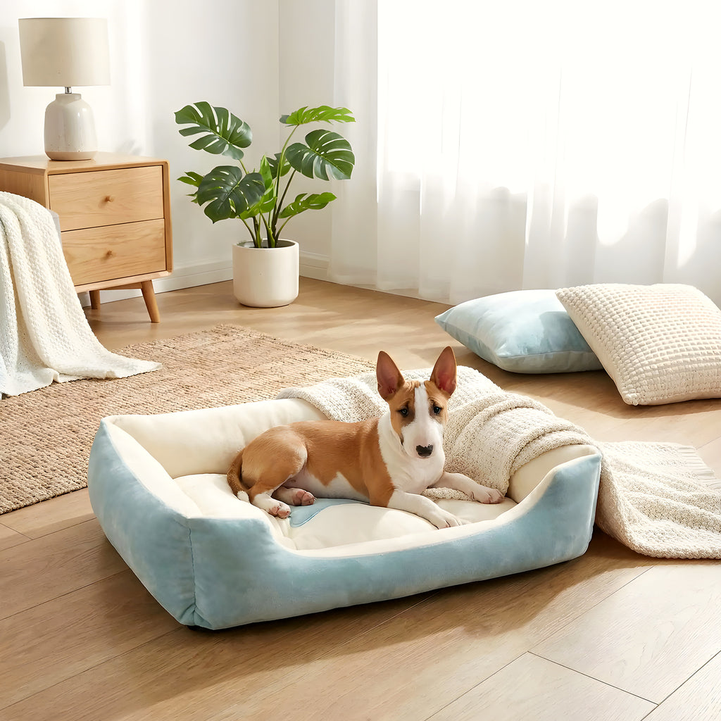 Panier design lavable 100 % coton pour chien, 3 tailles