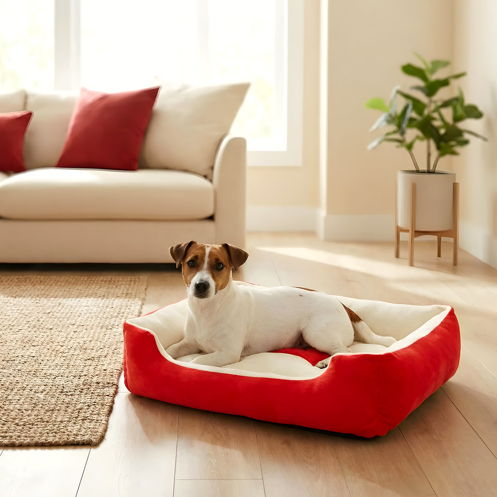 Panier design lavable 100 % coton pour chien, 3 tailles