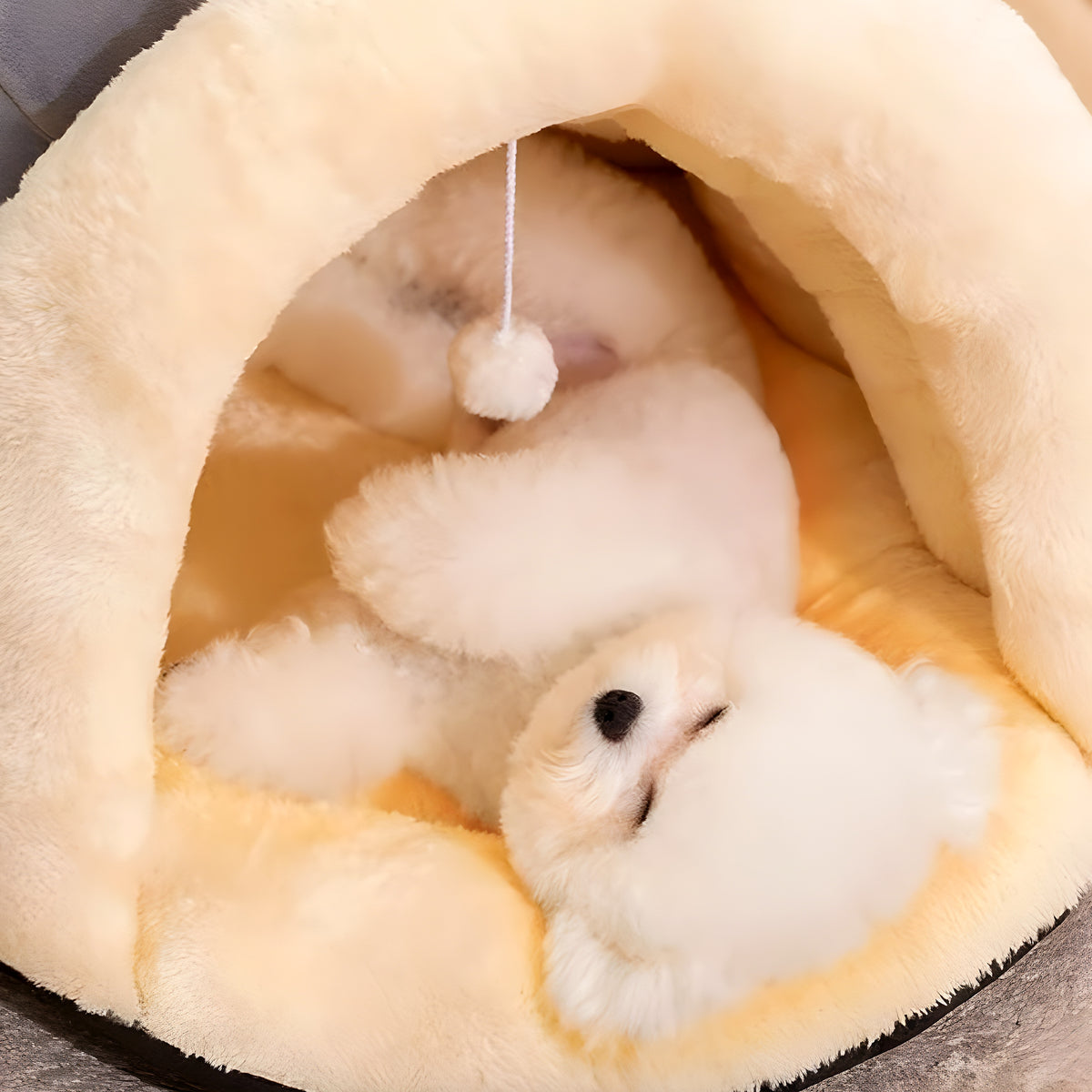 Panier en coton pour petit chien, S à L