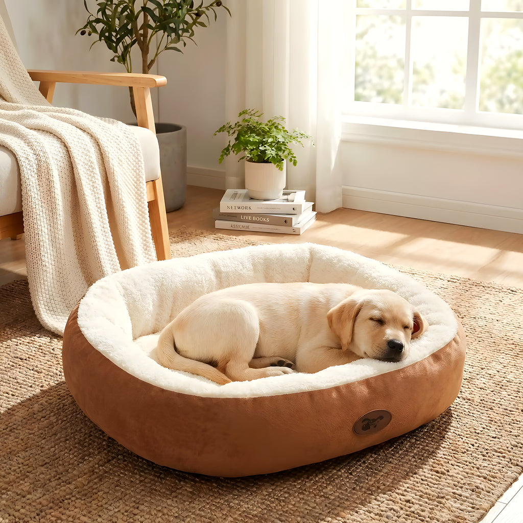 Panier en peluche épaisse à rebord 360° pour chiot