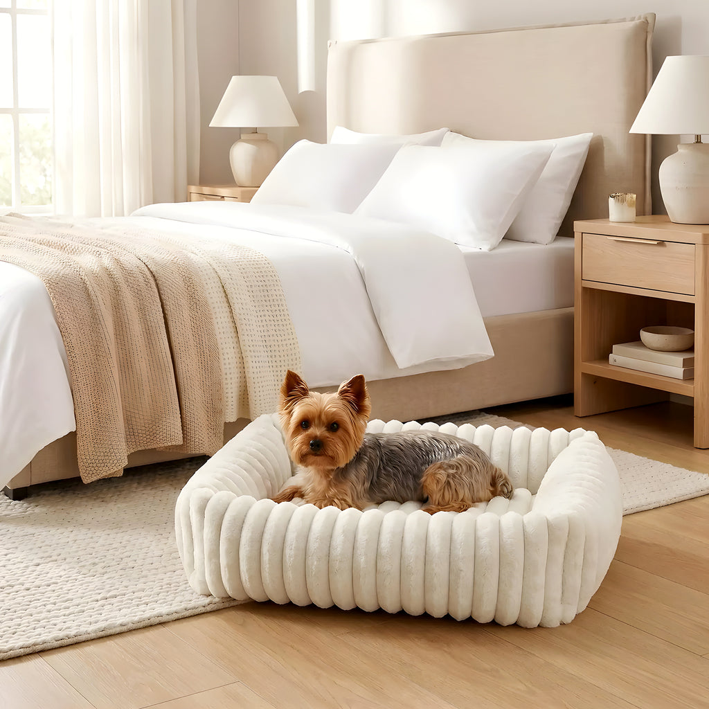 Panier en velours avec poignée pour petit chien, S ou M