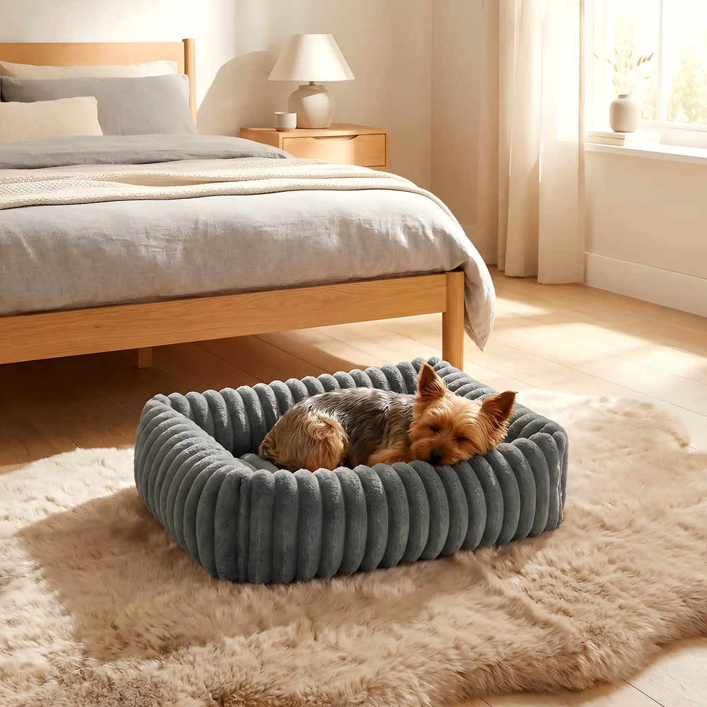 Panier en velours avec poignée pour petit chien, S ou M