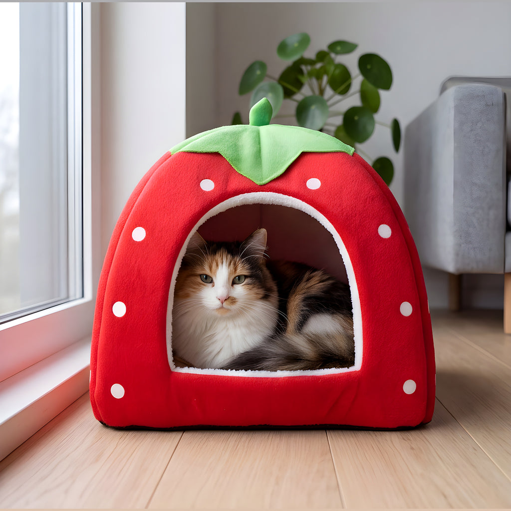 Panier fraise ou léopard