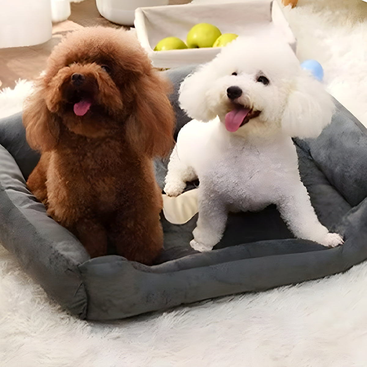 Panier lavable anti-odeurs pour chien, S à XL
