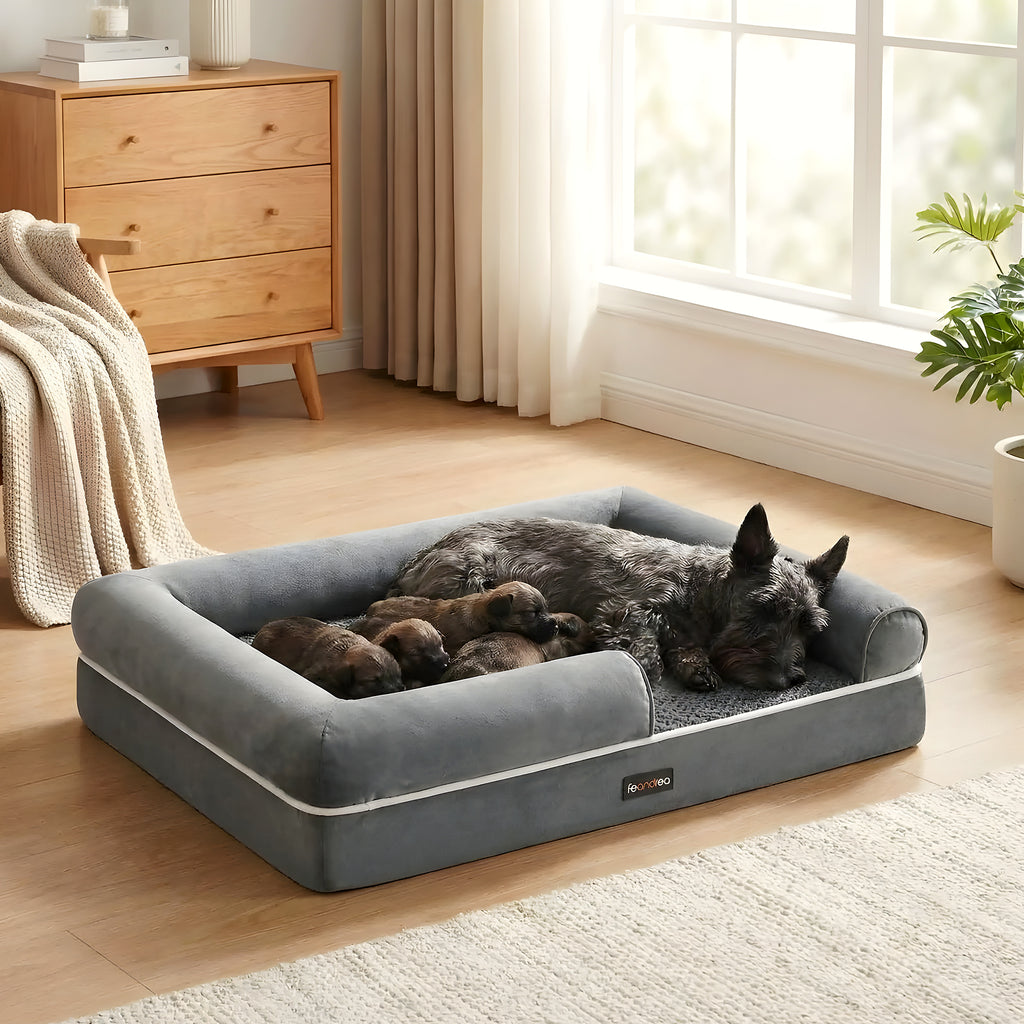 Panier orthopédique à mousse alvéolée pour chien moyen