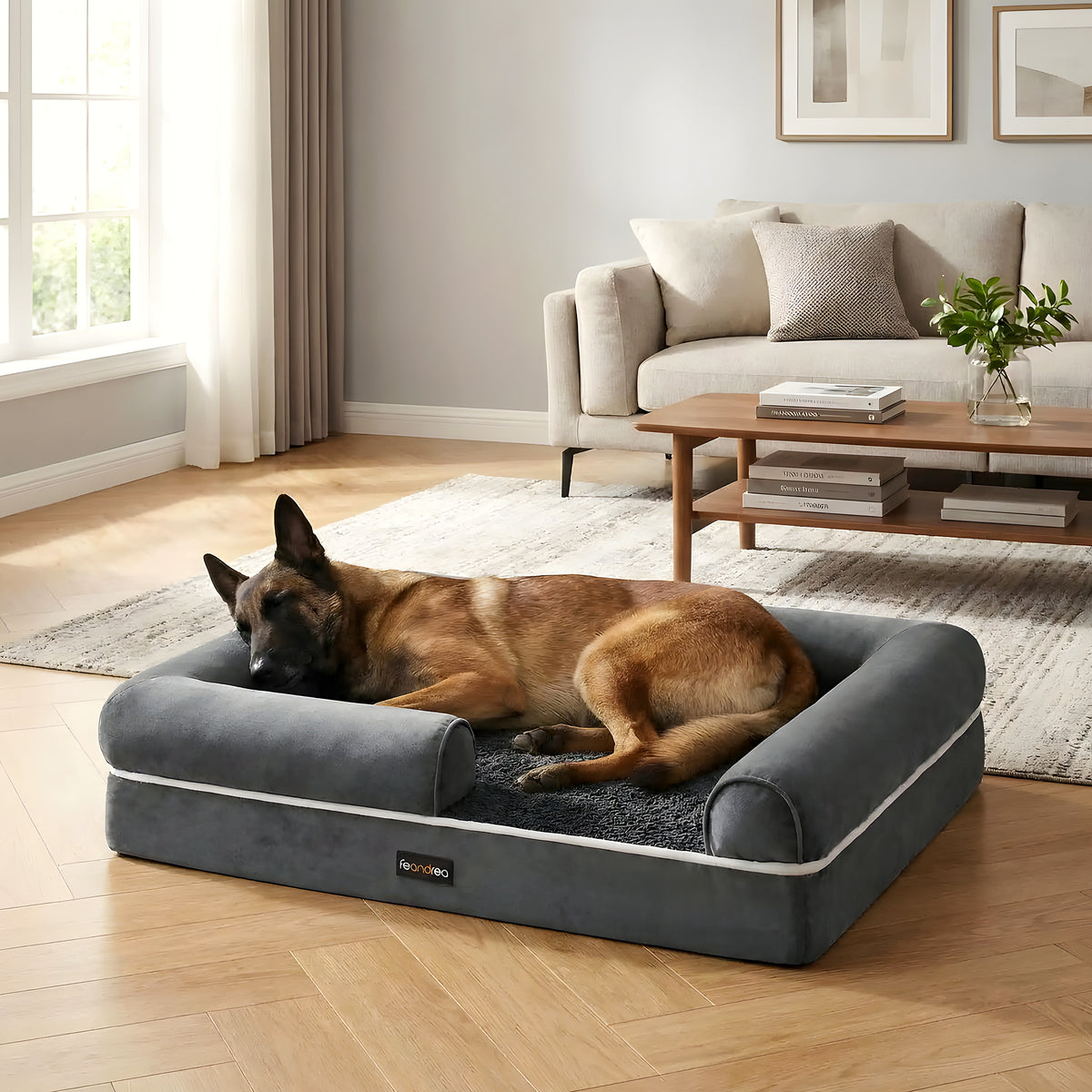 Panier orthopédique à mousse alvéolée pour chien moyen