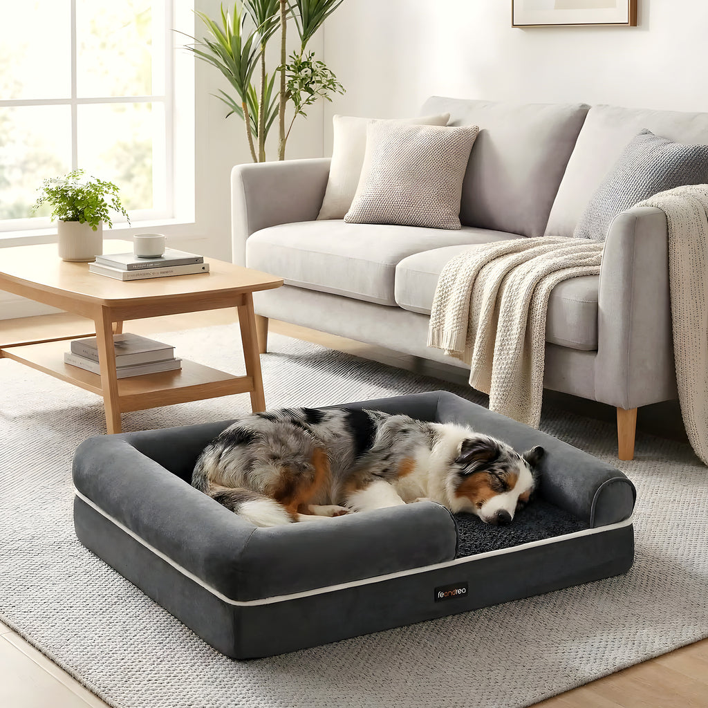 Panier orthopédique à mousse alvéolée pour chien moyen