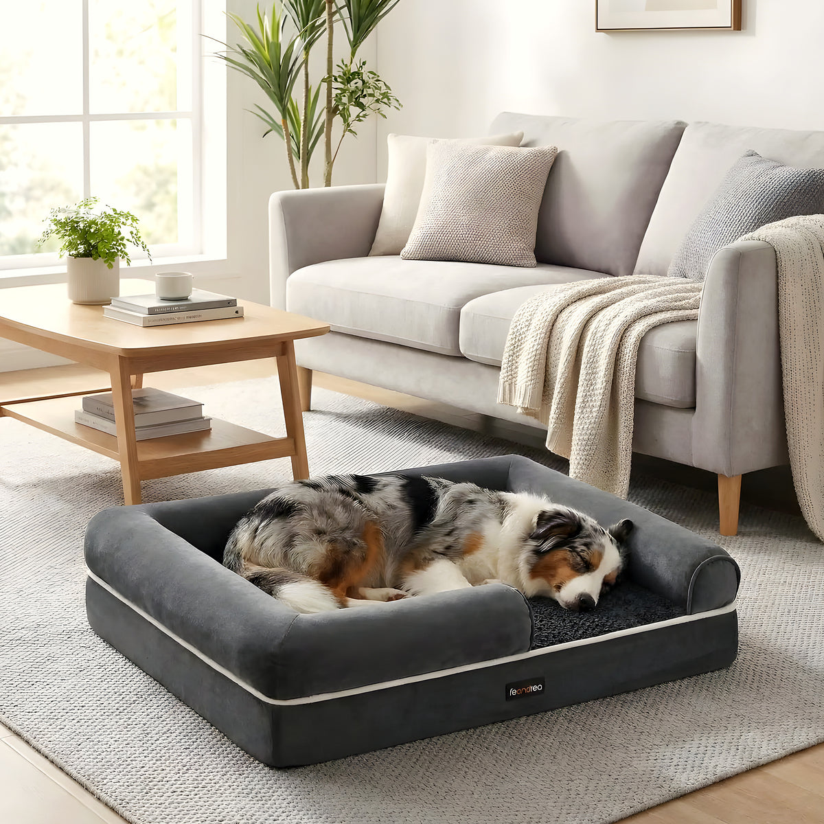 Panier orthopédique à mousse alvéolée pour chien moyen