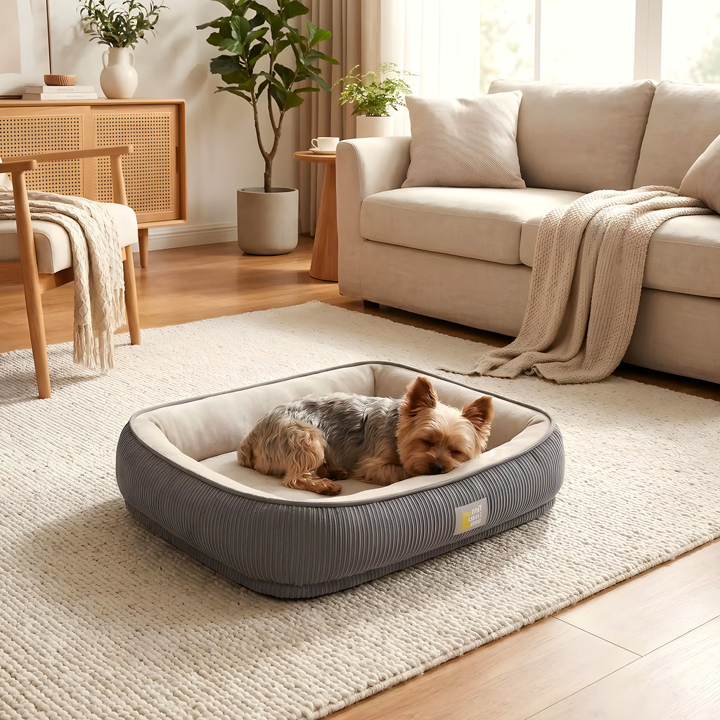 Panier orthopédique auto-chauffant en velours pour chien