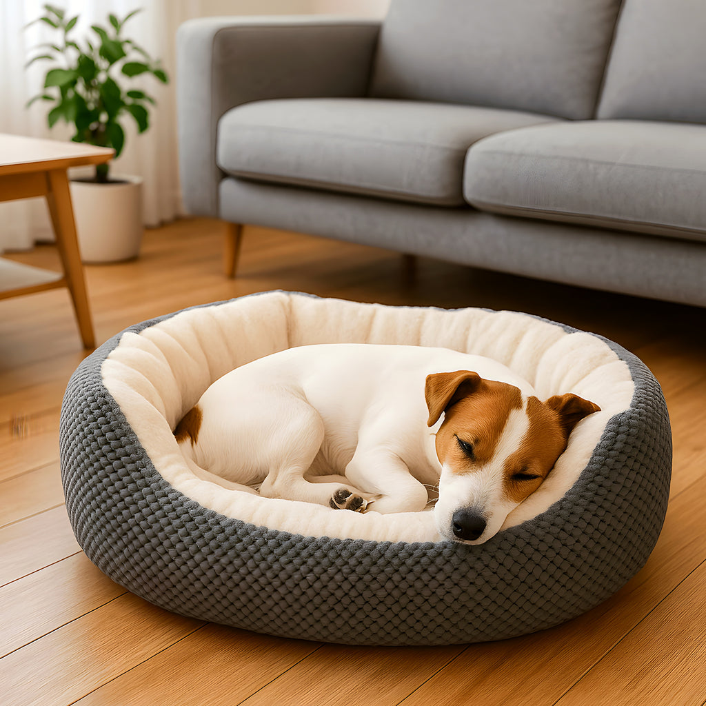 Panier orthopédique en œuf 100 % coton pour petit chien