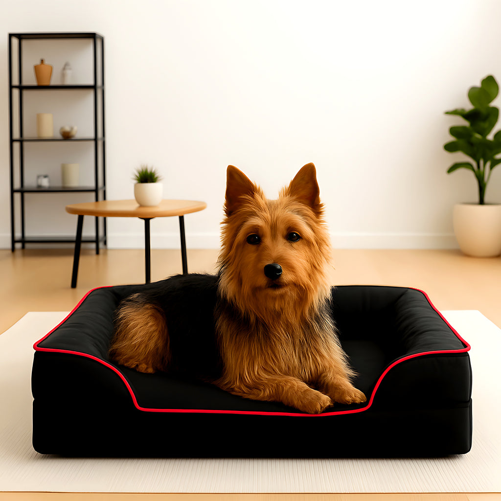 Panier orthopédique noir en velours côtelé pour petit chien