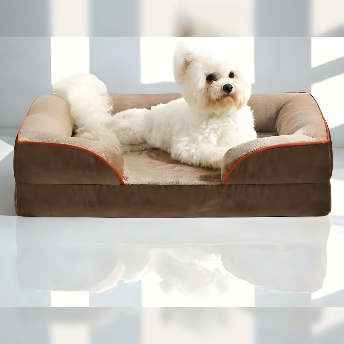 Panier orthopédique surélevé 18 cm pour chien, S à L