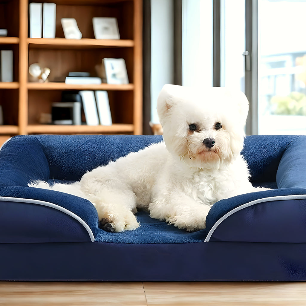 Panier orthopédique surélevé 18 cm pour chien, S à L