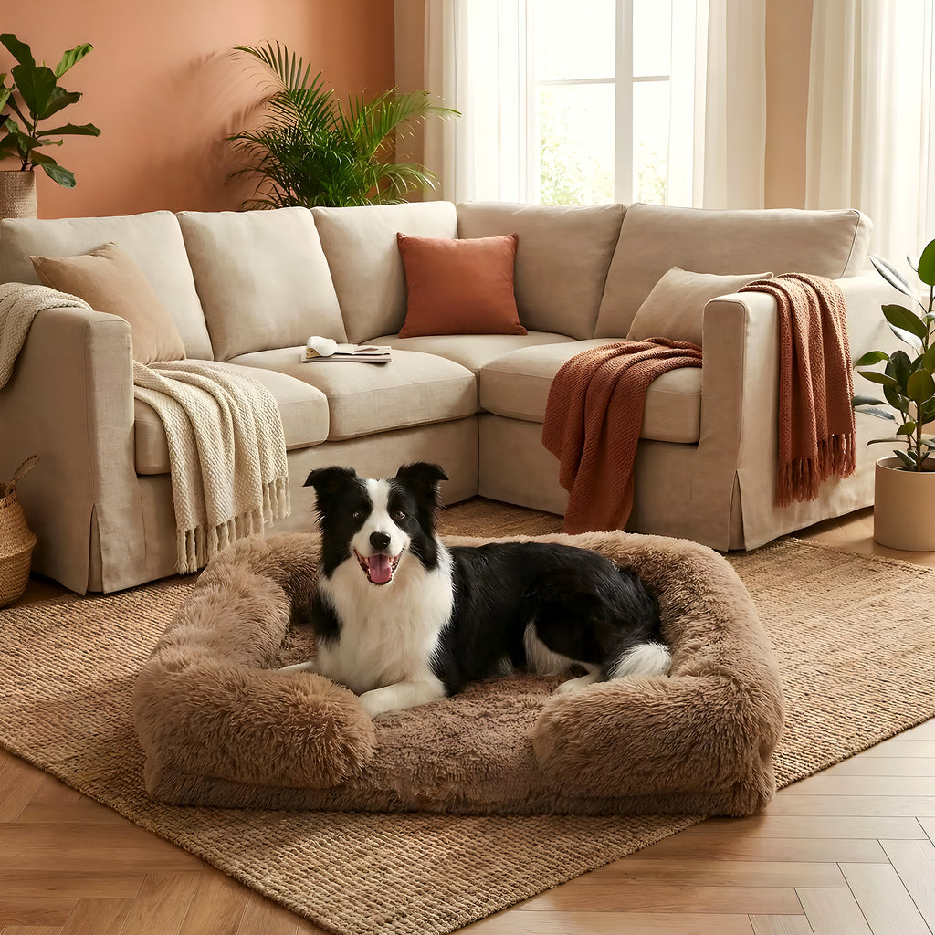 Panier orthopédique XXL pour chien, 4 coloris