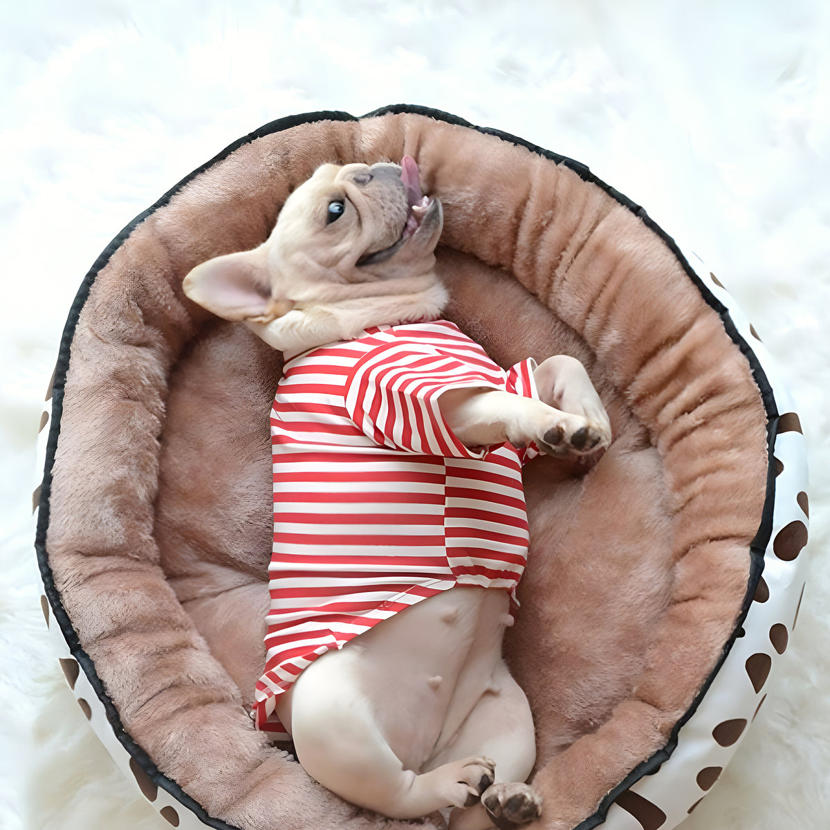 Panier réversible hiver / été pour chiot et petit chien