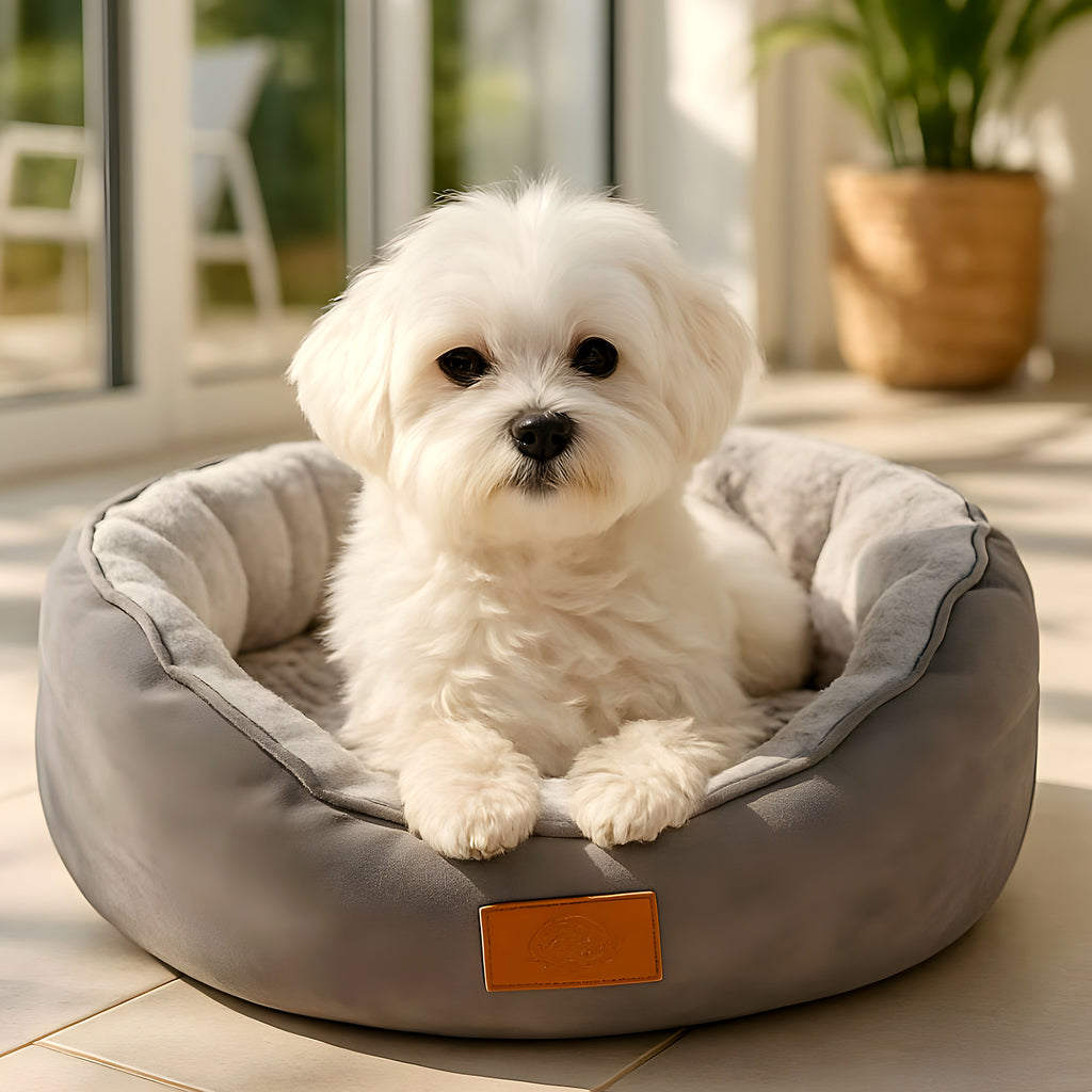 Panier rond à rebords hauts 100 % coton pour petit chien