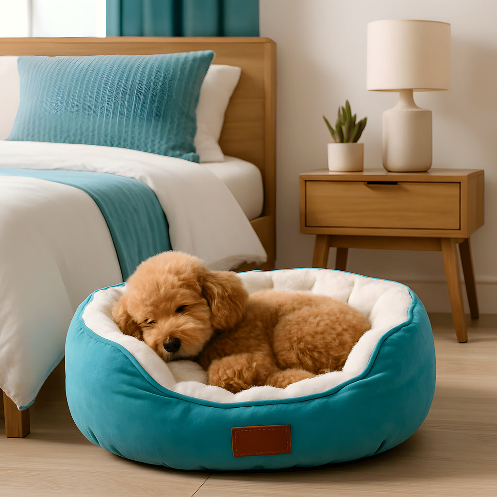Panier rond à rebords hauts 100 % coton pour petit chien