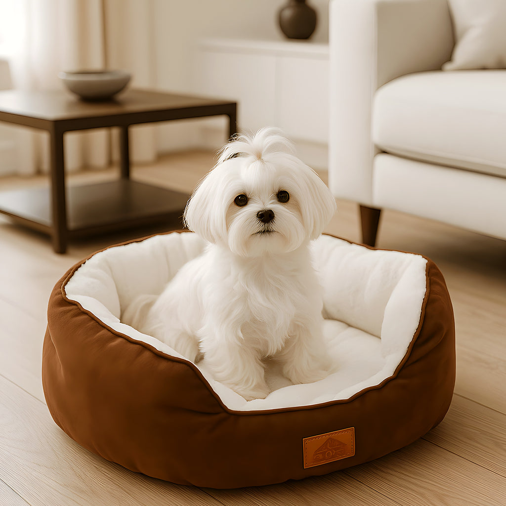 Panier rond à rebords hauts 100 % coton pour petit chien