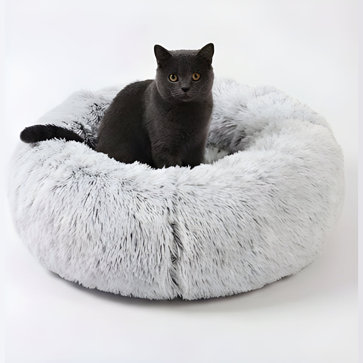 Panier tunnel pour chat