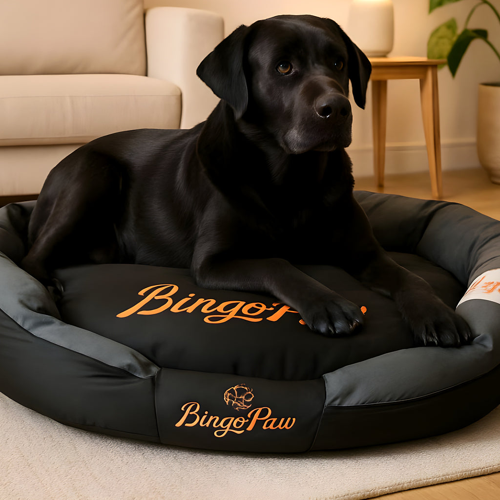 Panier XXL noir déhoussable isolant pour grand chien
