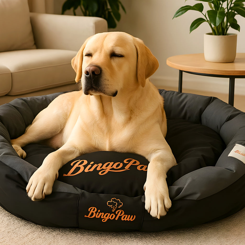 Panier XXL noir déhoussable isolant pour grand chien