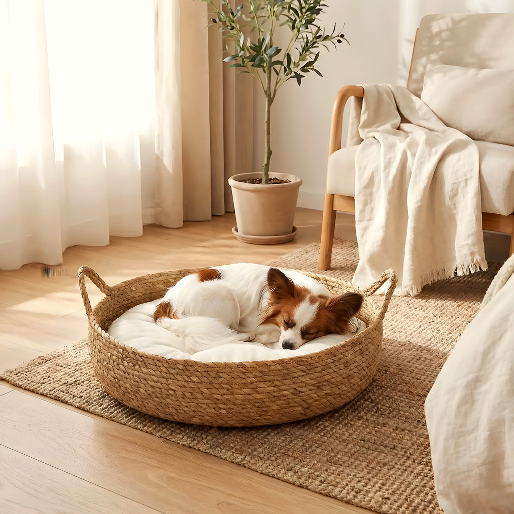 Panière en osier artisanale avec coussin pour chiot
