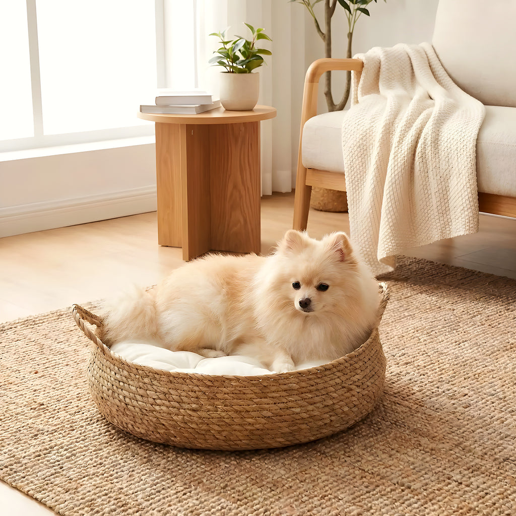 Panière en osier artisanale avec coussin pour chiot