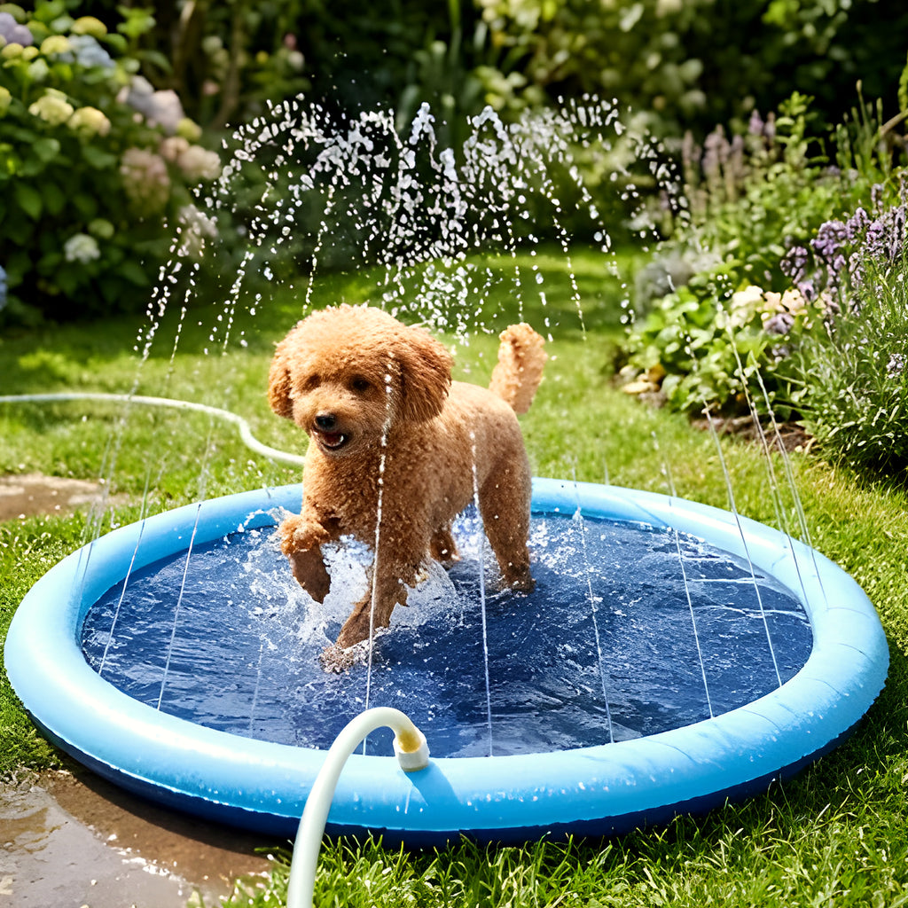 Pataugeoire à jets d'eau pour chien, 3 tailles