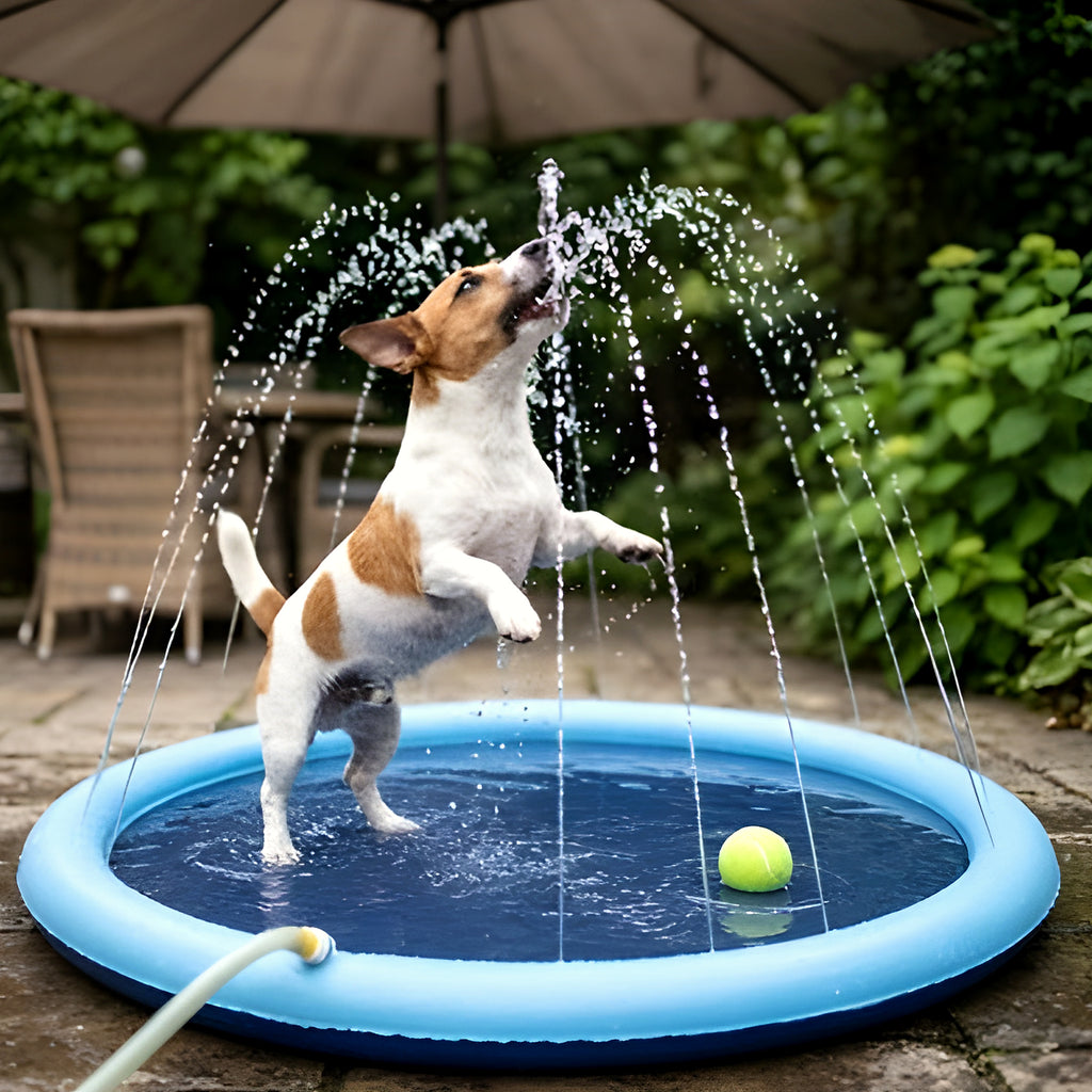 Pataugeoire à jets d'eau pour chien, 3 tailles