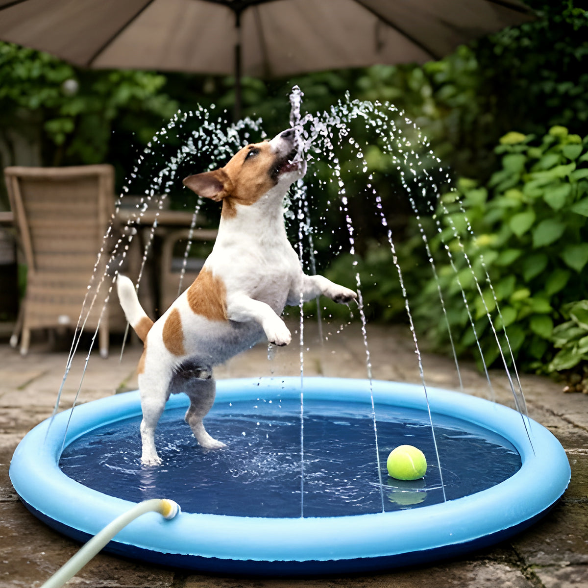 Pataugeoire à jets d'eau pour chien, 3 tailles