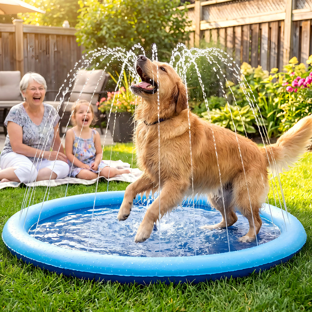 Pataugeoire à jets d'eau pour chien, 3 tailles