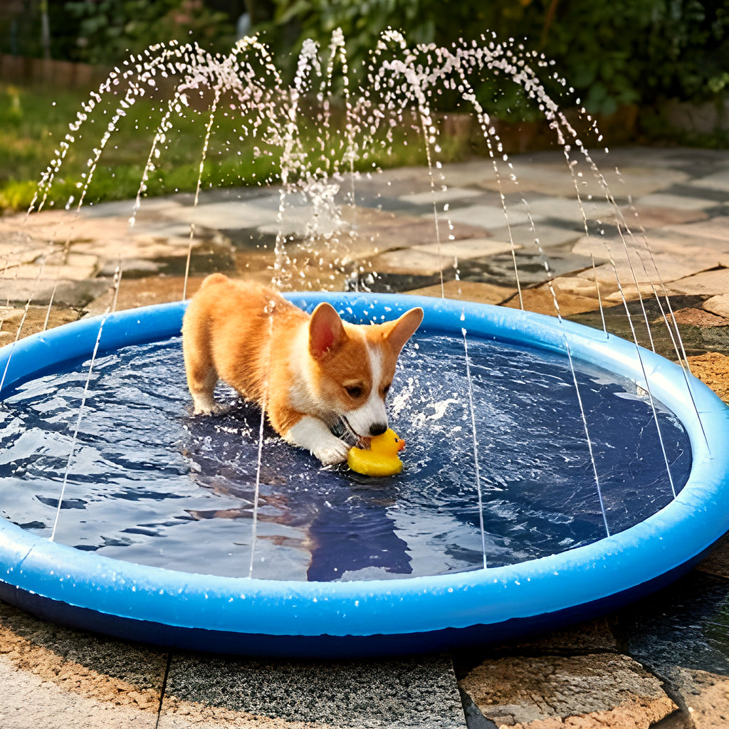 Pataugeoire à jets d'eau pour chien, 3 tailles