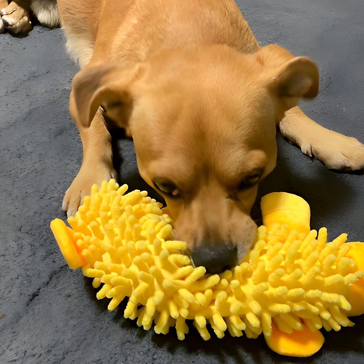 Peluche animal en velours pour chiot et petit chien, 6 modèles