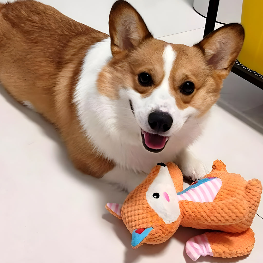 Peluche anti-stress pour chien et chiot, 3 modèles