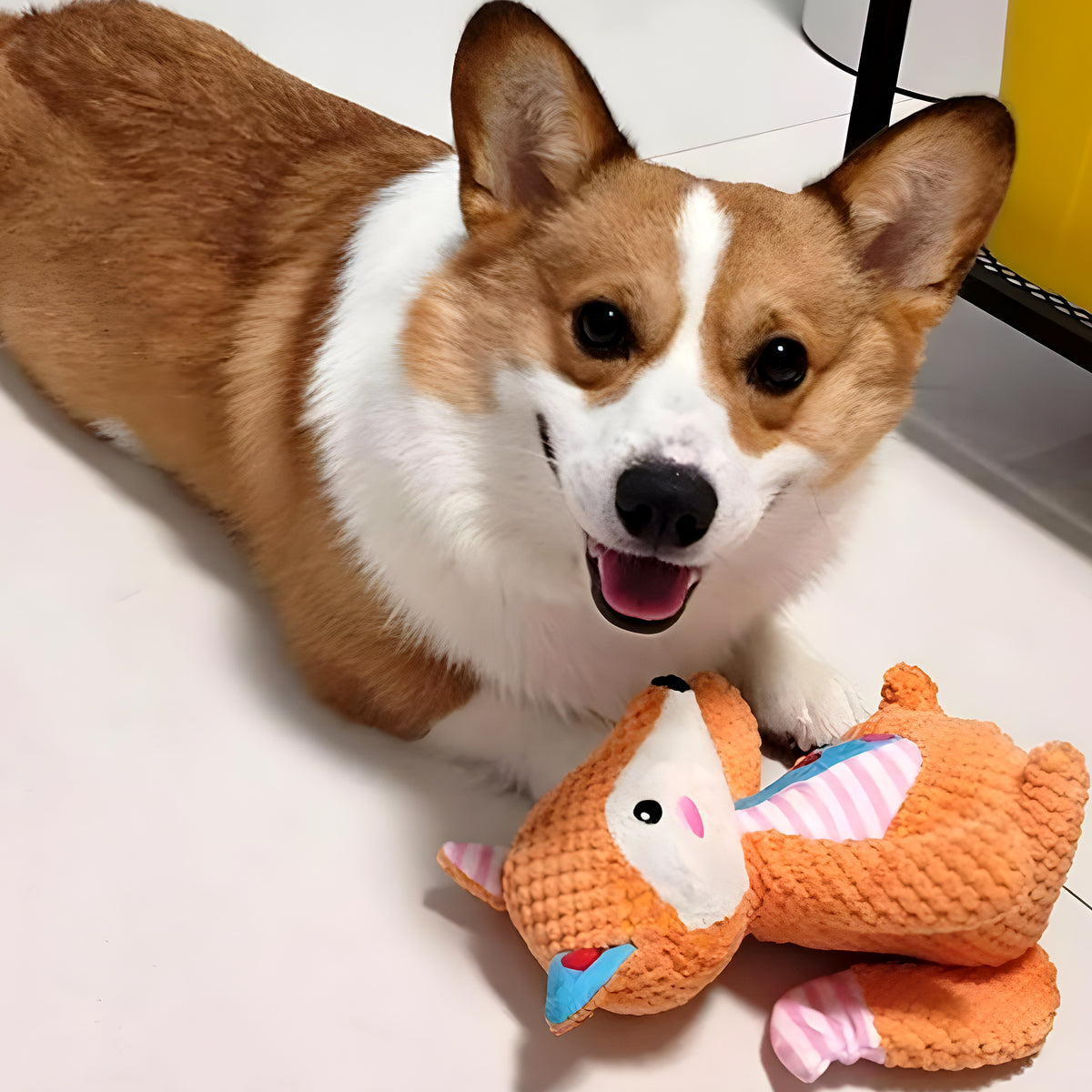 Peluche anti-stress pour chien et chiot, 3 modèles