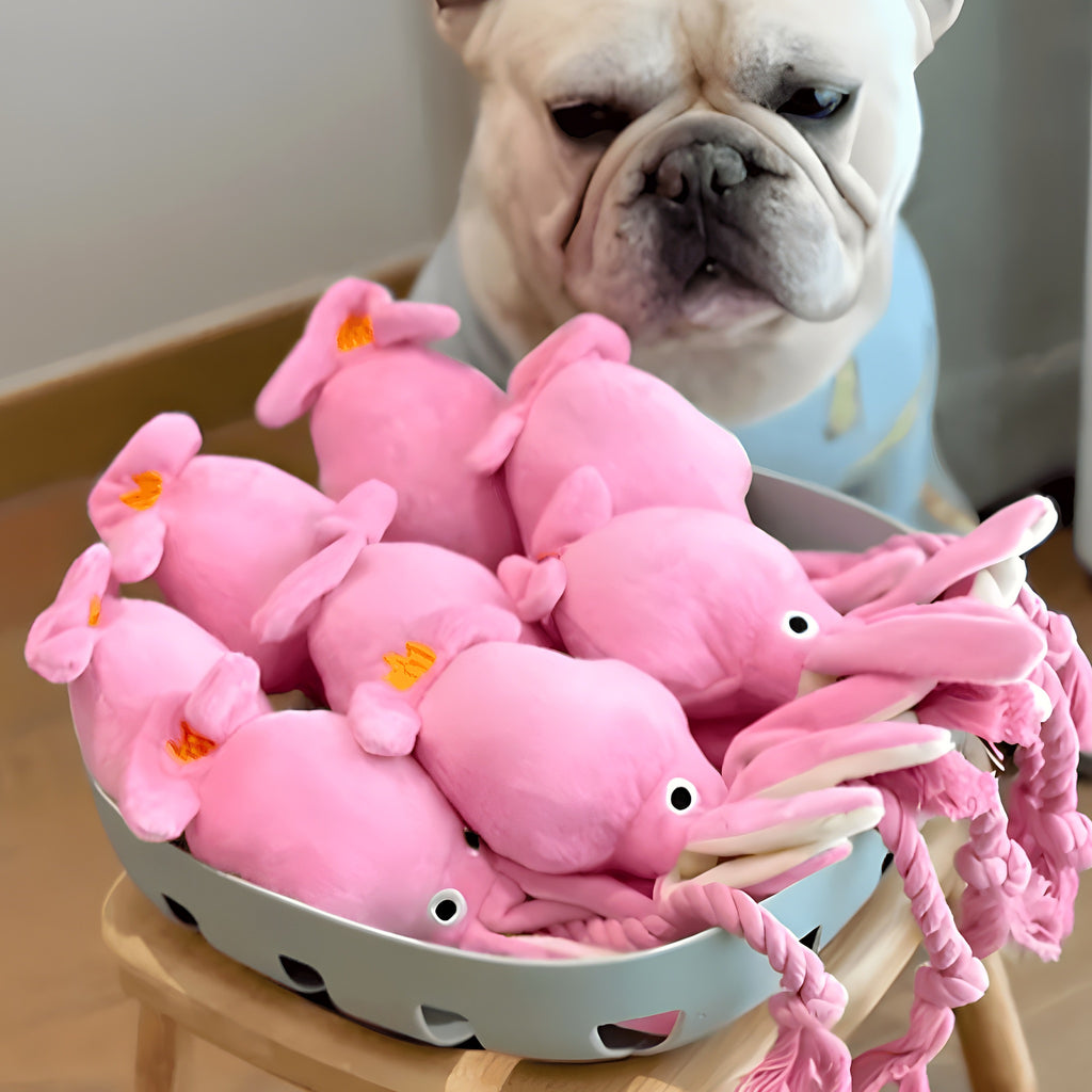Peluche calamar avec tentacules en corde pour chien