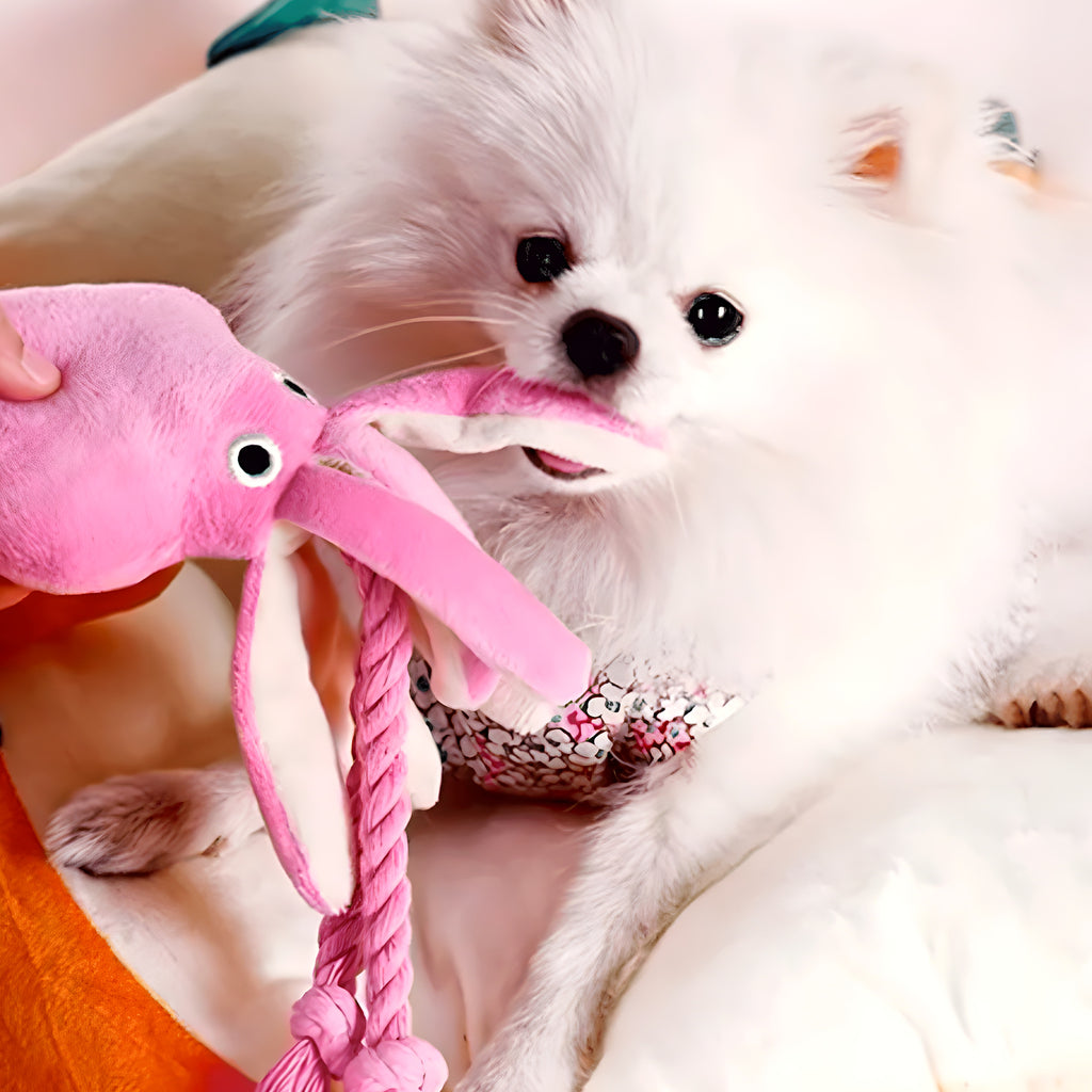 Peluche calamar avec tentacules en corde pour chien