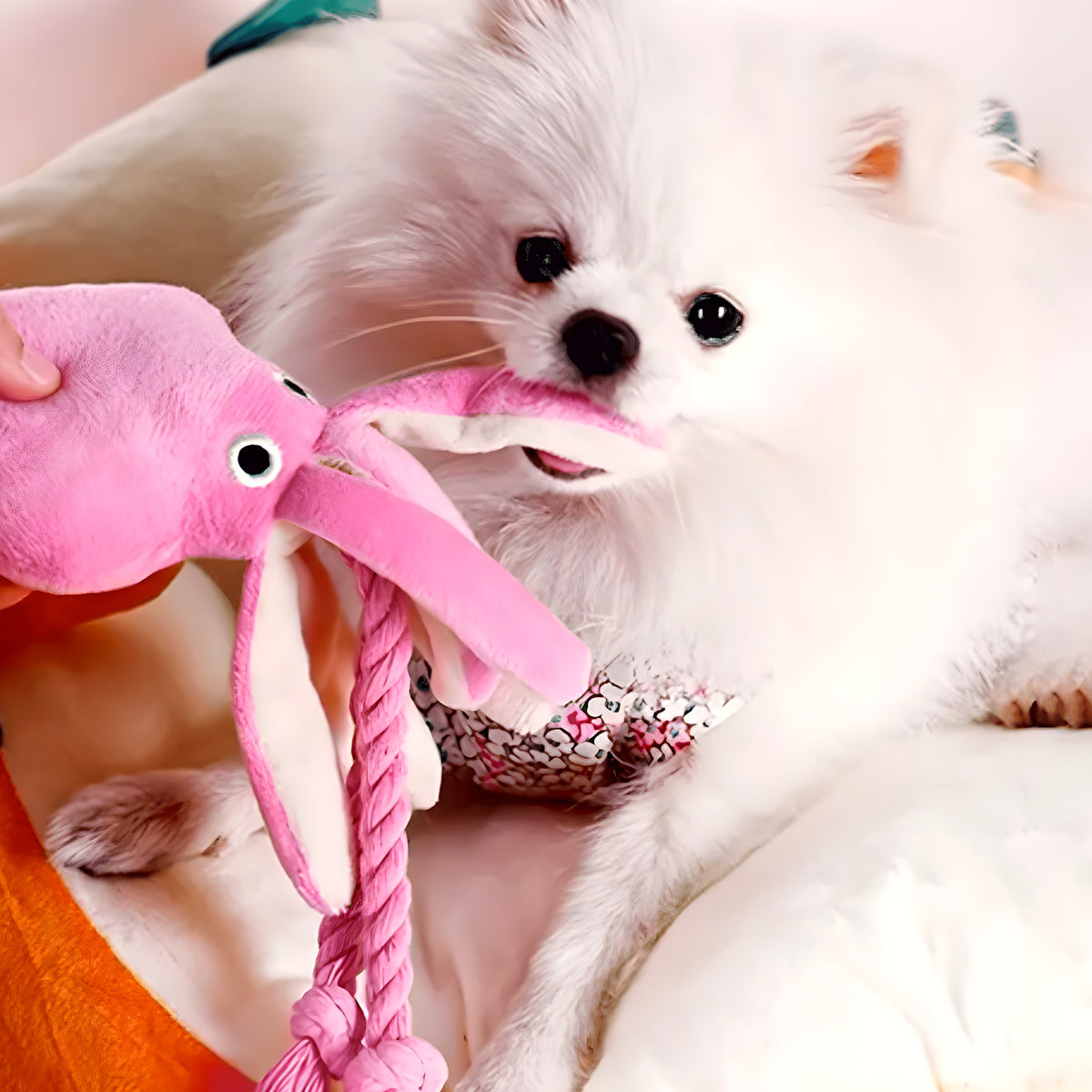 Peluche calamar avec tentacules en corde pour chien
