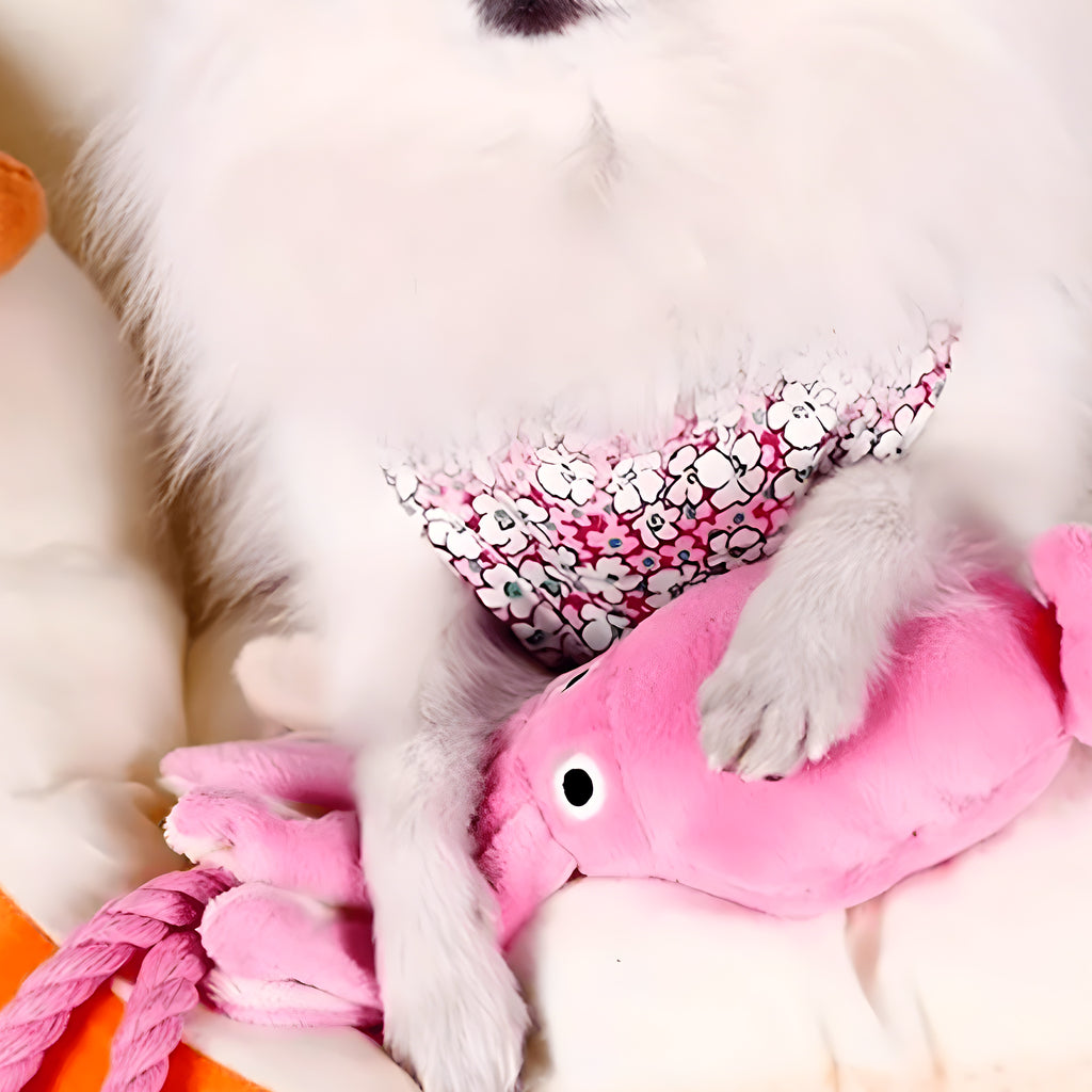 Peluche calamar avec tentacules en corde pour chien