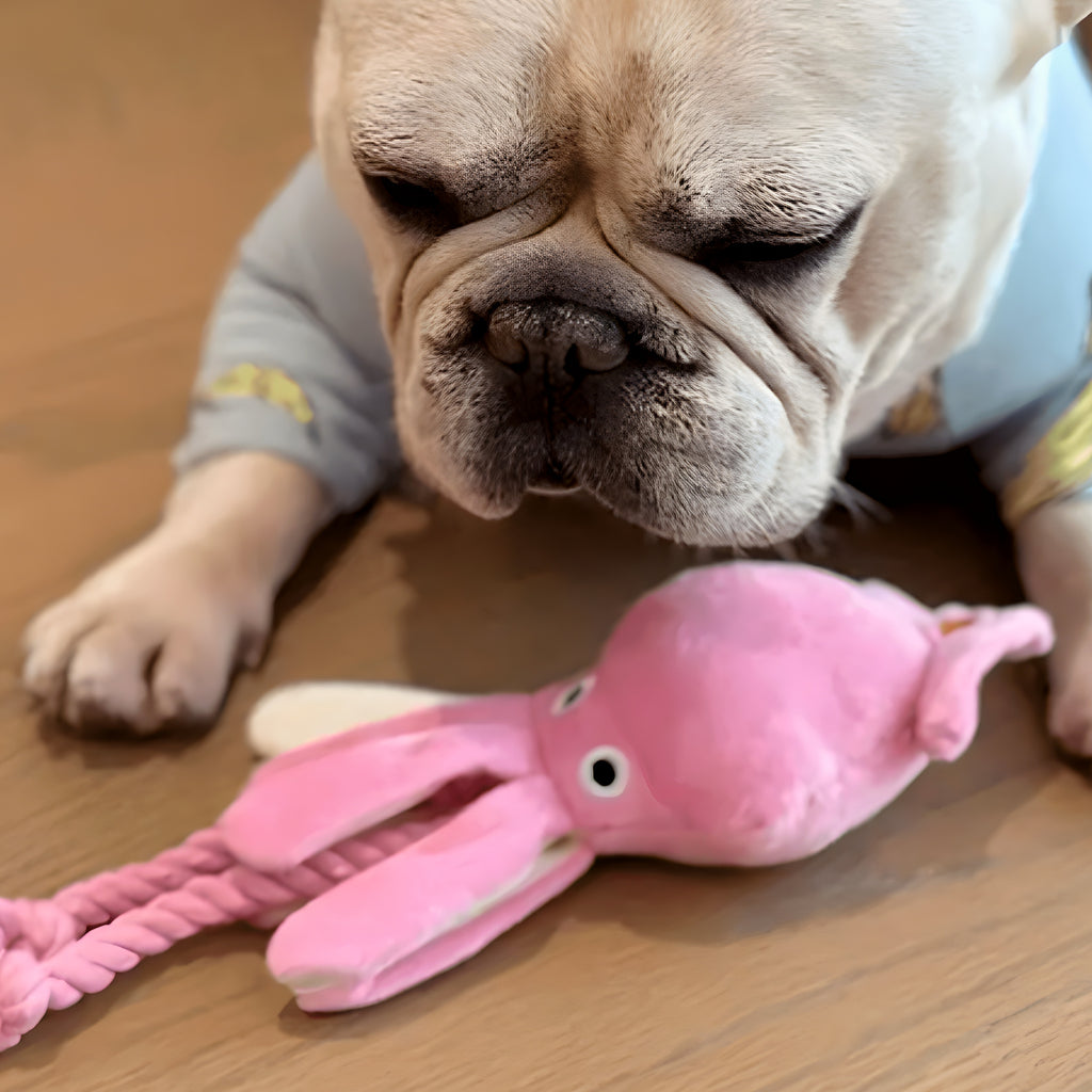 Peluche calamar avec tentacules en corde pour chien