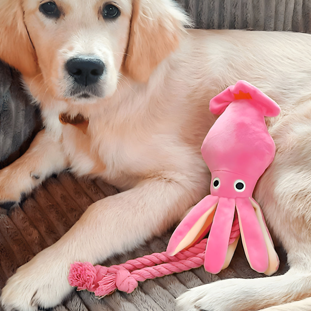 Peluche calamar avec tentacules en corde pour chien