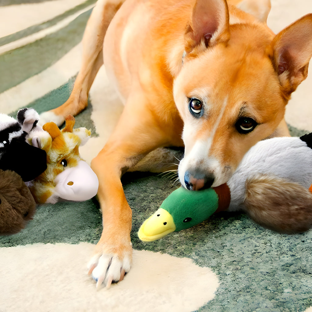Peluche canard froissée à cordes pour chiot