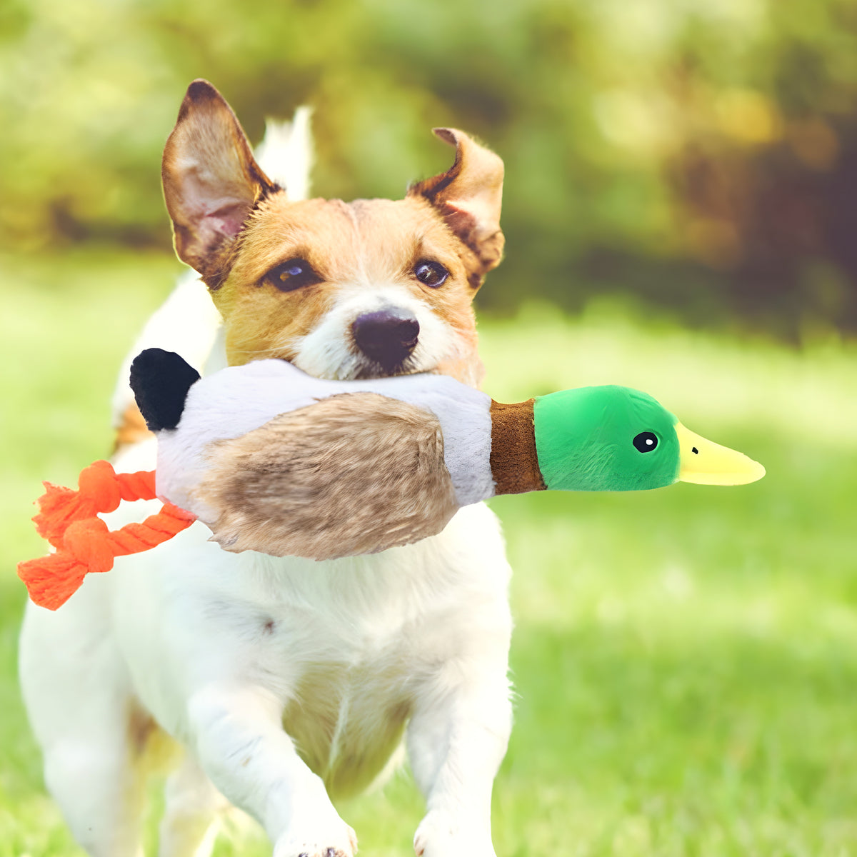Peluche canard froissée à cordes pour chiot