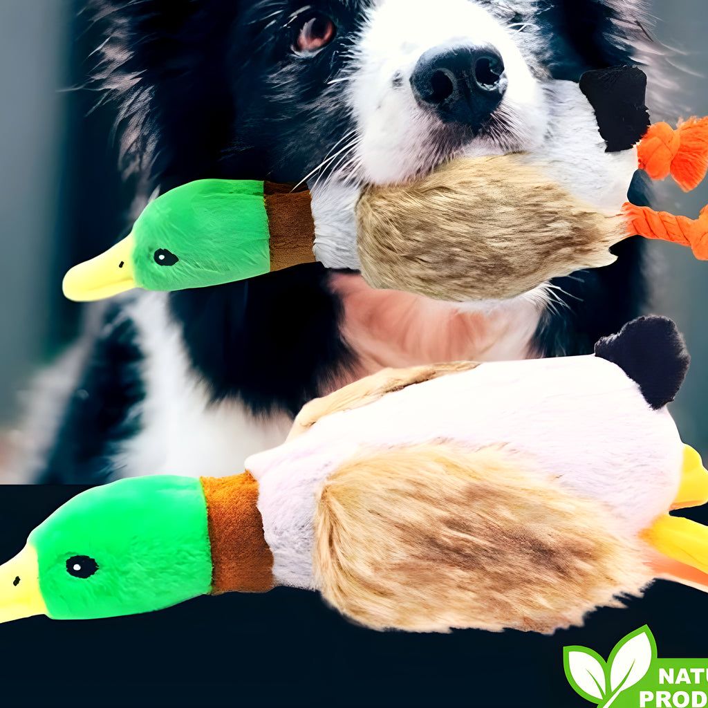 Peluche canard froissée à cordes pour chiot