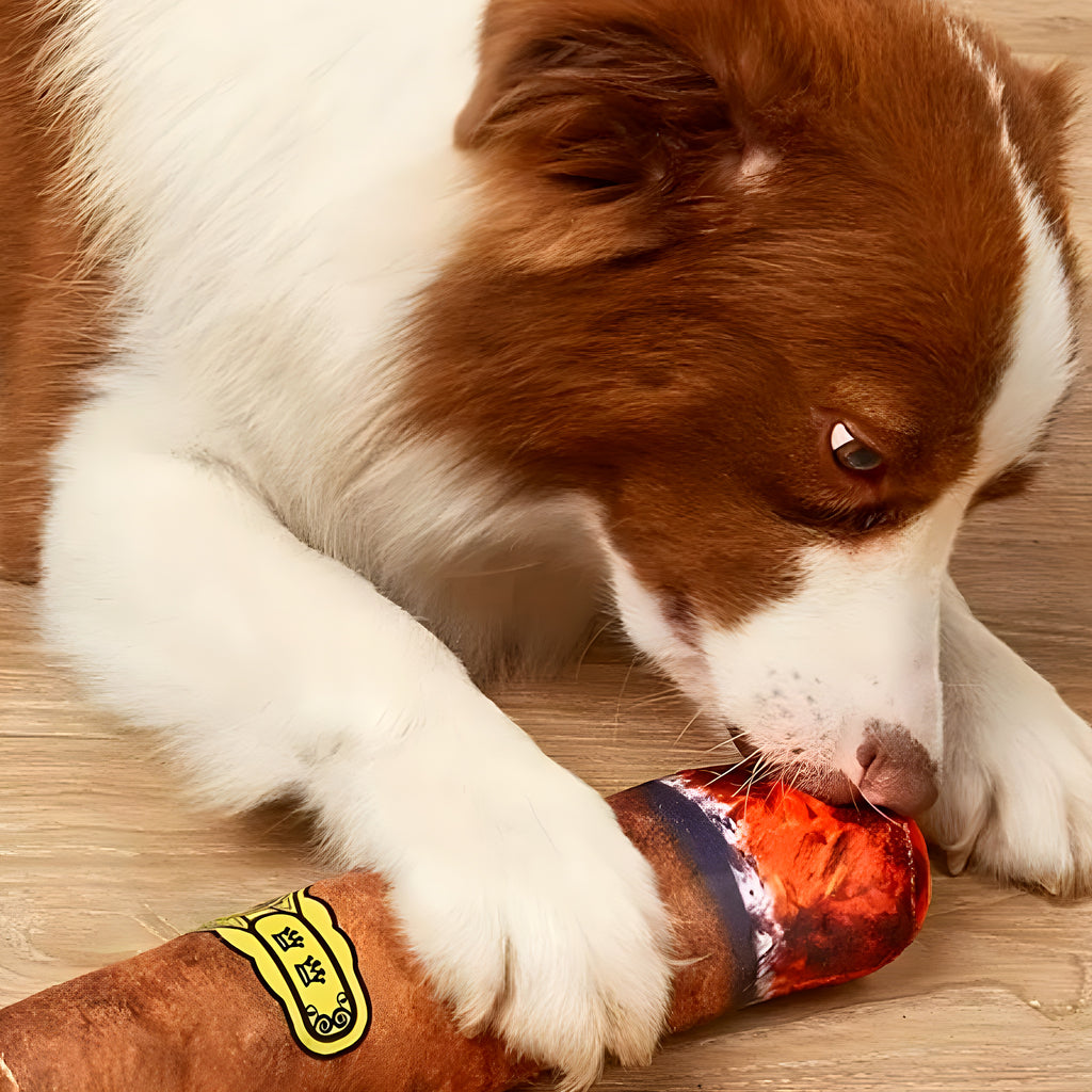 Peluche cigare qui couine pour chien, 3 tailles