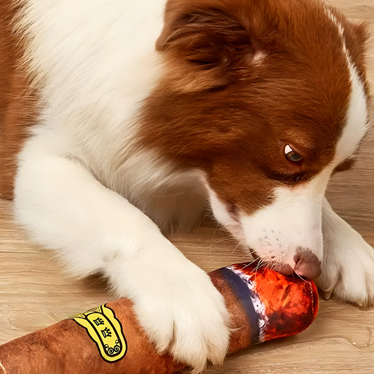 Peluche cigare qui couine pour chien, 3 tailles